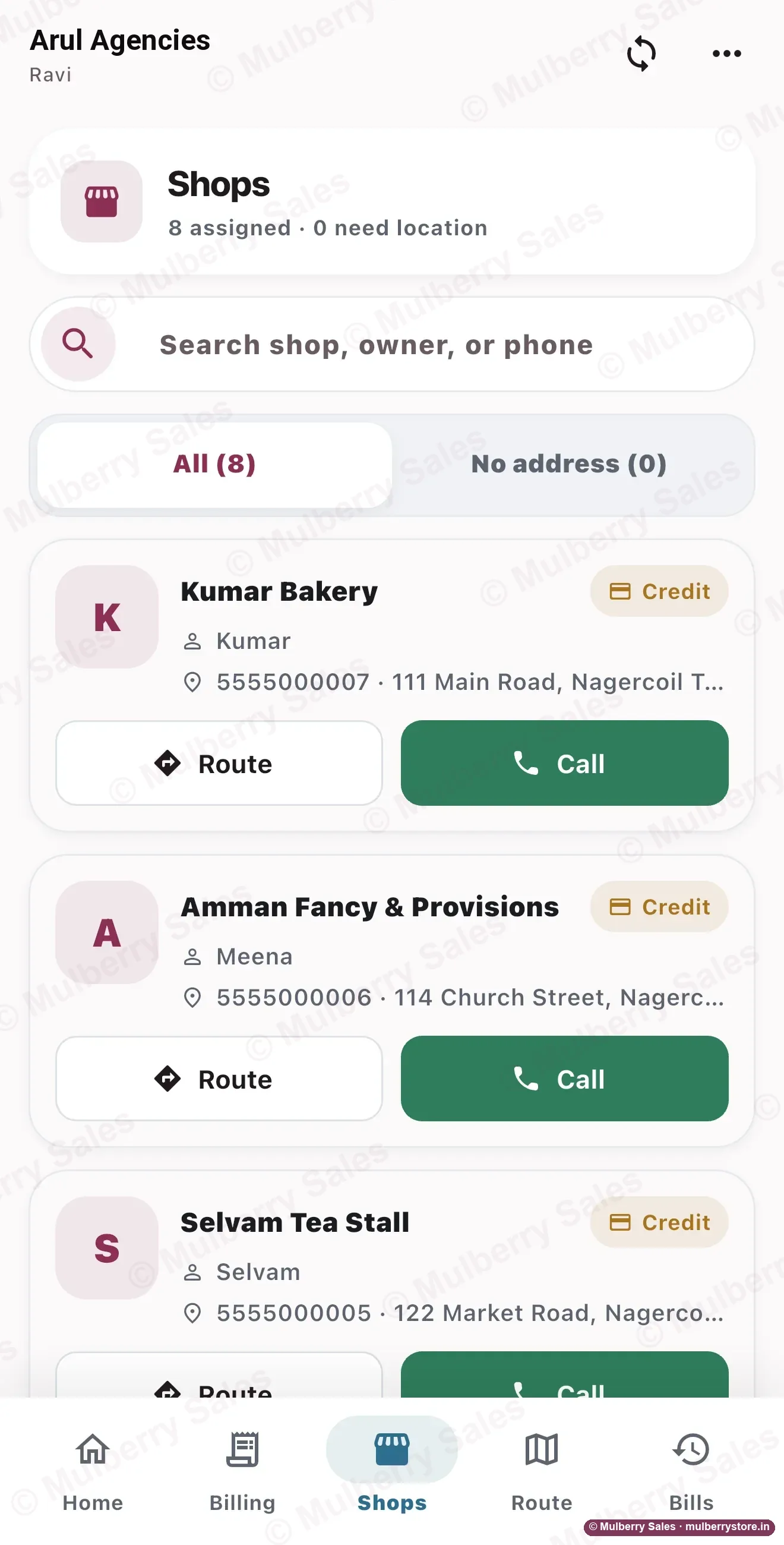Shops on the salesman's beat in the Mulberry Sales app, each with owner, phone, address, a Route button and a Call button.